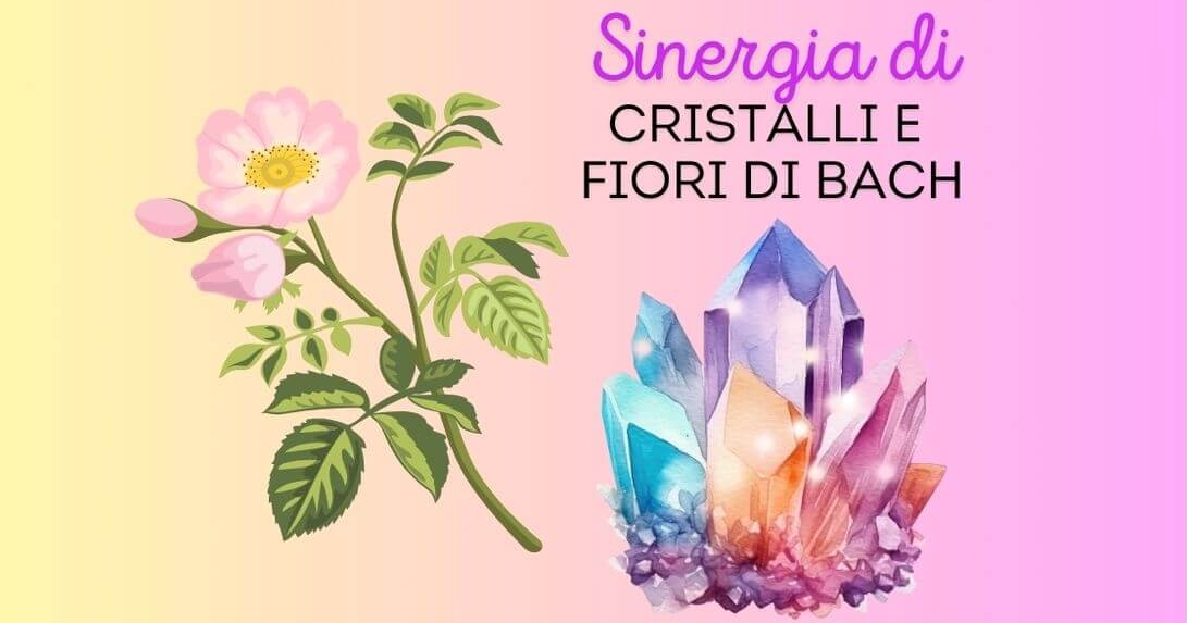 Sinergia di cristalli e fiori di Bach